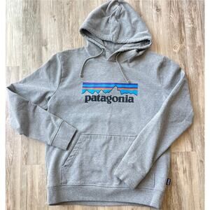 Patagonia Gray Hoodie with Multicolor Logo